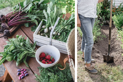 5 Tips to Preserve Your Summer Bounty