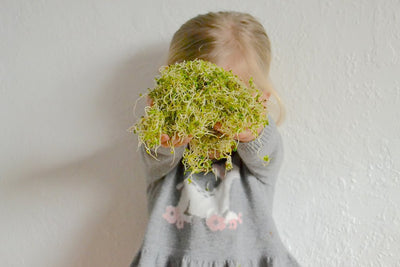 Sprouting | Growing with a Toddler